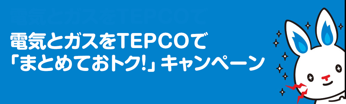 東京電力 キャンペーンコード